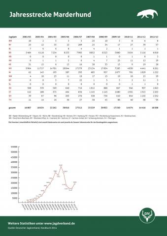 Marderhund: Jagdstatistik 2012/13