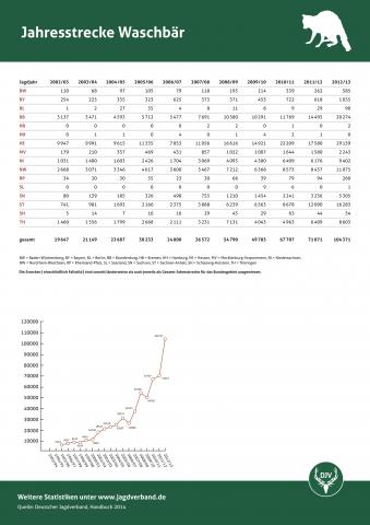 Waschbär: Jagdstatistik 2012/13