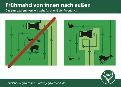 Von innen nach außen mähen rettet Wildtierleben (Quelle: DJV)