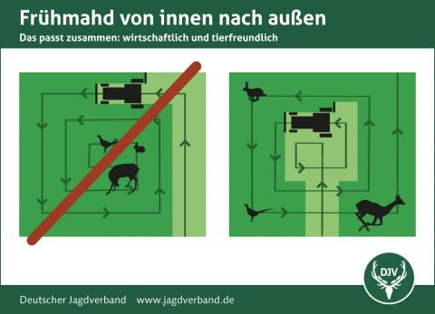 Tipps zur Mahd: Frühmad von innen nach außen