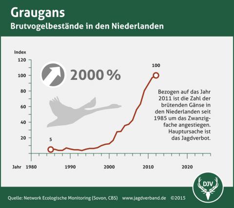 Gänse - Brutvogelbestände in den Niederlanden