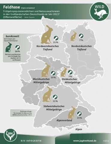 Monitoring: Population Feldhasen 2015