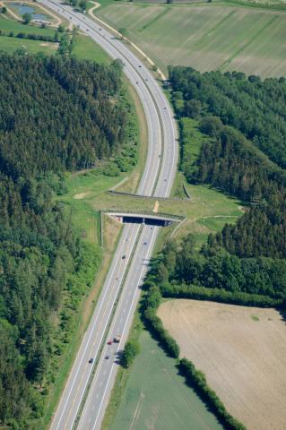 Grünbrücke und Ottertunnel