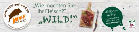 Wild auf Wild Teaser_1024x24px