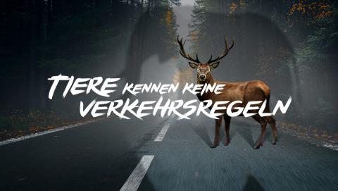 Der DJV startet gemeinsam mit dem ACV die Kampagne
