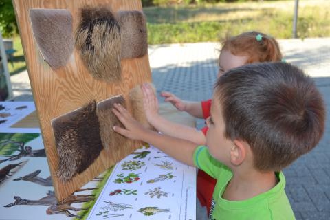 Felltastbretter schulen den Tastsinn  