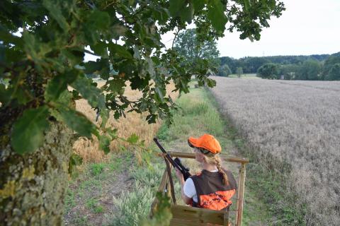 Der Deutsche Jagdverband empfiehlt Jägern, grundsätzlich nur von erhöhten Einrichtungen, etwa Hochsitzen, zu schießen. (Quelle: Kaufmann/DJV)
