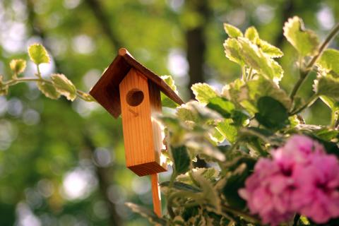 Insektenhäuschen Elfenhaus