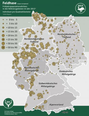 Feldhasenzählung 2013 - Werte Referenzgebiete