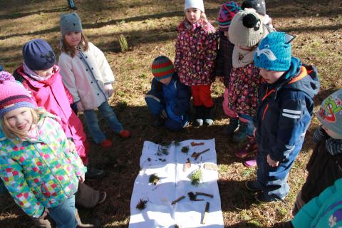 Naturakademie Storkow Liane Allmann