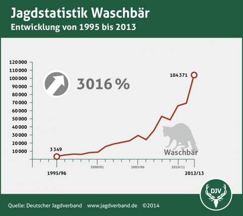 Jagdstatistik: Waschbär 1995 - 2013