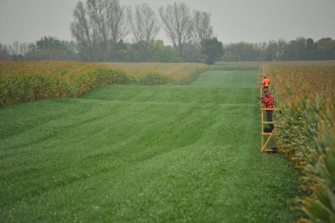Sicherheit vor Jagerfolg: Signalfarben und eine erhöhte Schussposition sind wichtig bei der Erntejagd. (Quelle: DJV)