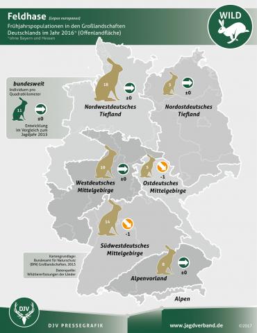 Feldhasen: Vorkommen Deutschland 2016