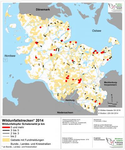 Pilotprojekt Schleswig-Holstein: Auswertung der Wildunfälle 2014