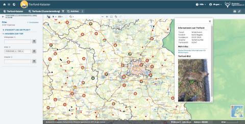 Detailansicht zum neuen Tierfund-Kataster Design