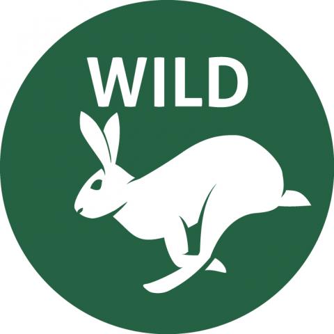 offizielles WILD Logo