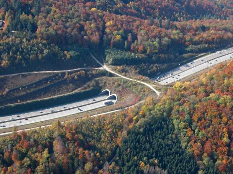 Grünbrücke mit Wirtschaftsweg über Autobahn im Herbst