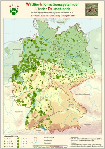 Wildtierinformationssystem Vorkommen Feldhase 2011