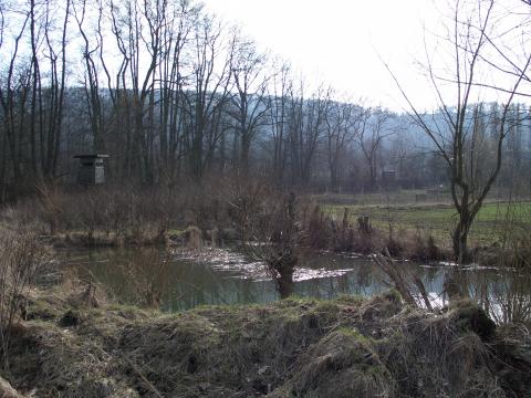 Hochsitz an Teich