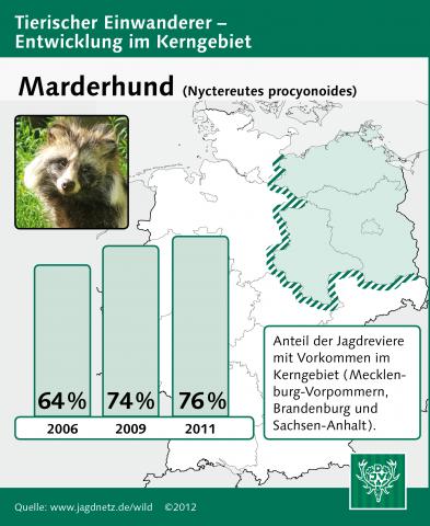 Marderhund: Entwicklung im Kerngebiet 2006-2011