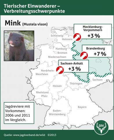 Mink: Verbreitung 2006-2011