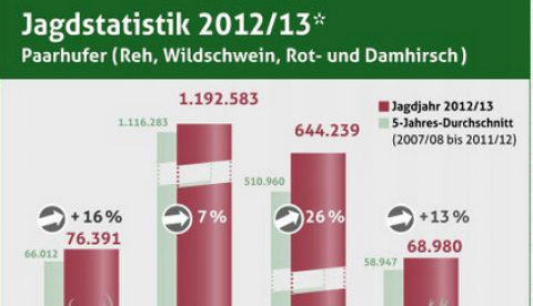 Jagdstatistik Schalenwild 2012/13