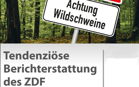 Tendenziöse Berichterstattung des ZDF
