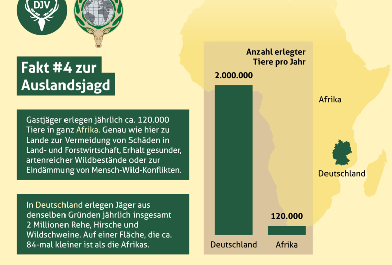 Gastjäger erlegen in ganz Afrika jährlich ca. 120.000 Tiere. In Deutschland erlegen Jäger im gleichen Zeitraum zwei Millionen Wildschweine, Rehe und Hirsche. Auf einer Fläche, die ca. 84-mal kleiner ist, als die Afrikas.