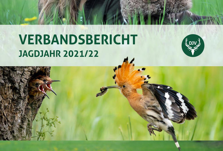 Der DJV hat jetzt seinen Verbandsbericht für das Jagdjahr 2021/22 (1. April bis 31. März) veröffentlicht.