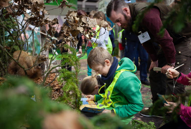Besonders beliebt bei Kindern und Schulklassen ist das Quiz über heimische Wildtiere.
