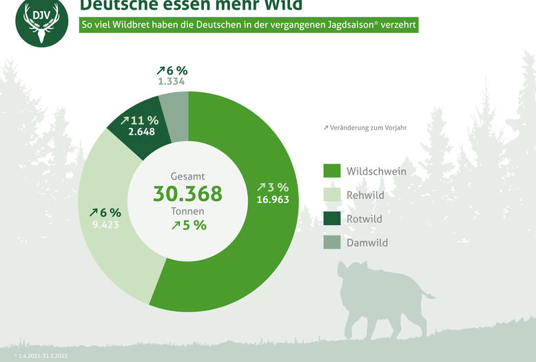 Verzehr von Wildbret in Deutschland 2021/22: besonders beliebt ist das Wildschwein.