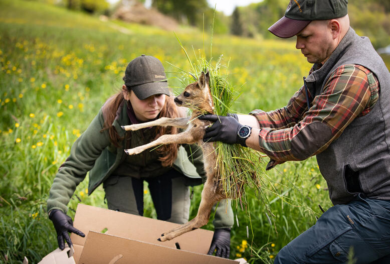 Die ehrenamtliche Arbeit von Jägern und Landwirten ist von hoher Bedeutung für die Rettung von Jungwild.