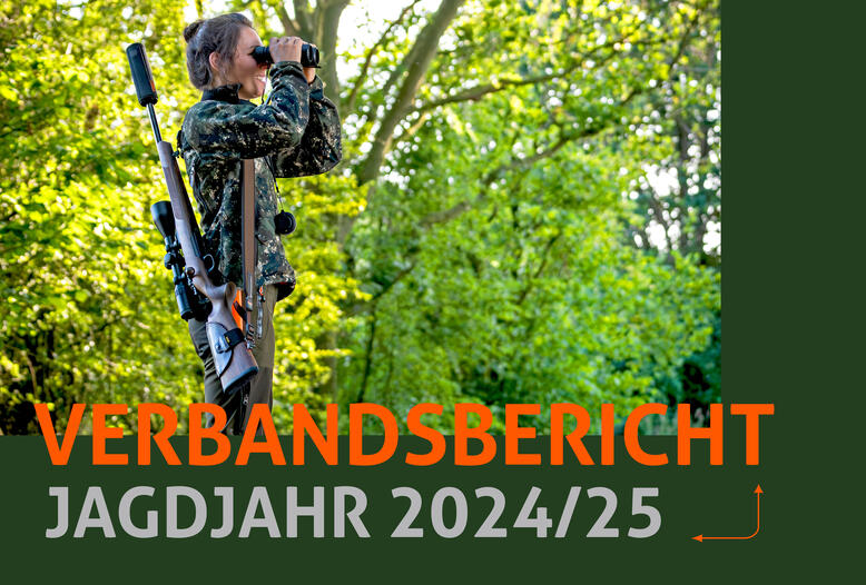Der DJV hat jetzt seinen Verbandsbericht für das Jagdjahr 2024/25 (1. April bis 31. März) veröffentlicht.