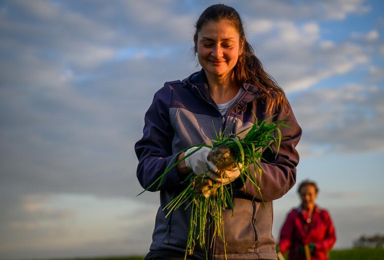 Jungwild vor dem Kreiselmäher retten: Ehrensache für viele Jägerinnen und Jäger.