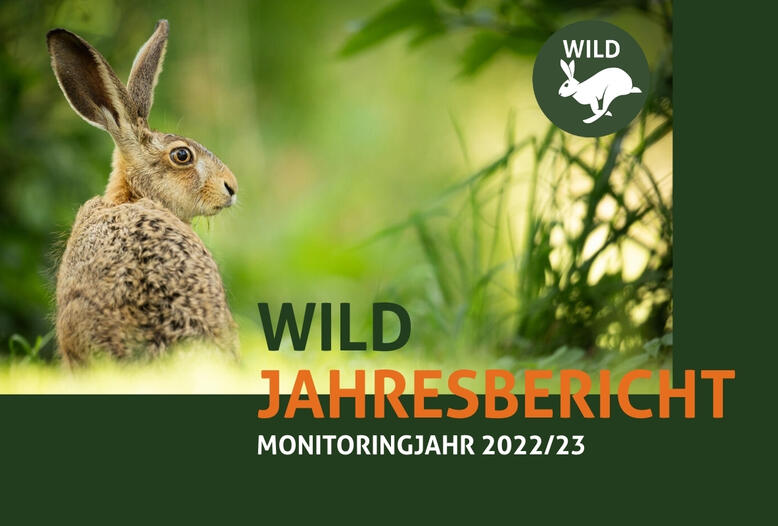 Der WILD-Bericht ist kostenlos digital und gedruckt verfügbar.