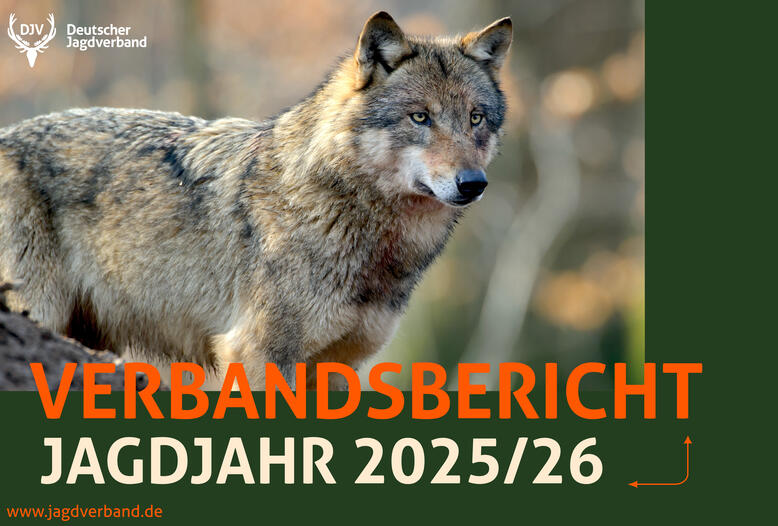 Verbandsbericht 2025/26: Überblick über 12 Monate Verbandsarbeit