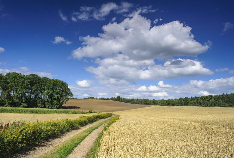 Kommende Anpassungen der Gemeinsamen Agrarpolitik entscheiden über die ökologische Qualität der Agrarlandschaft.