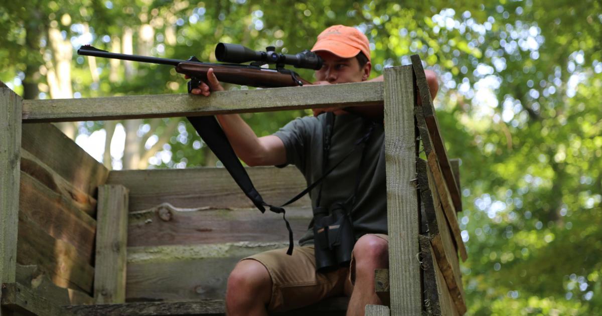 Zeitgemäße Jagd Deutscher Jagdverband