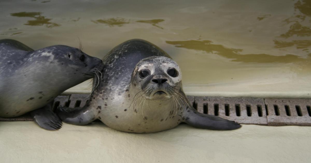 Download Kuesten leben storen Desktop Wallpaper Free Kuesten Leben Storen