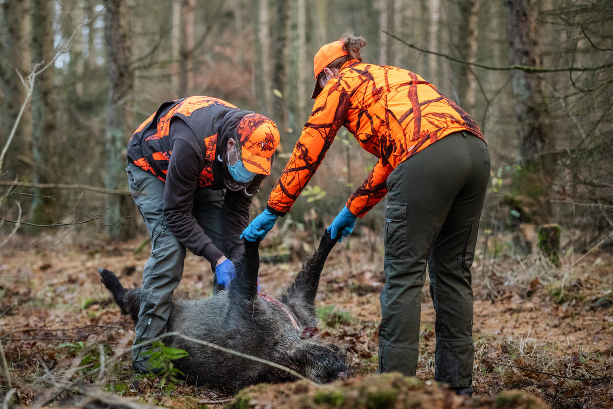 Jäger in Corona-Zeiten: Warum auch die Jagd im Westerwald