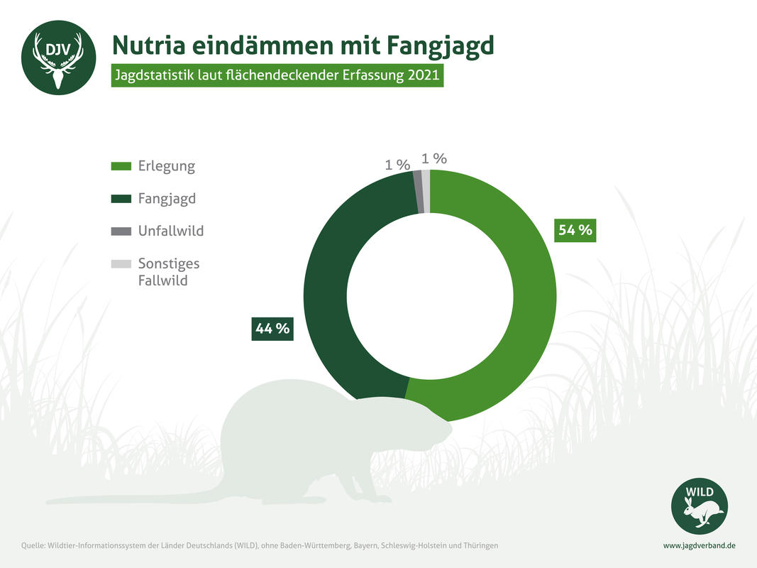 Jagdstatistik Nutria laut flächendeckender Erfassung 2021. (Quelle: DJV)