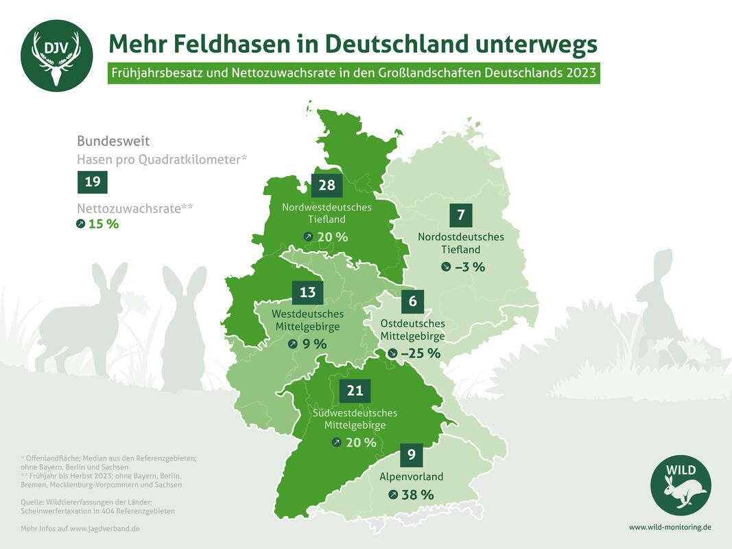 Feldhasenbesatz und Nettozuwachsrate Deutschland 2023 (Quelle: DJV)