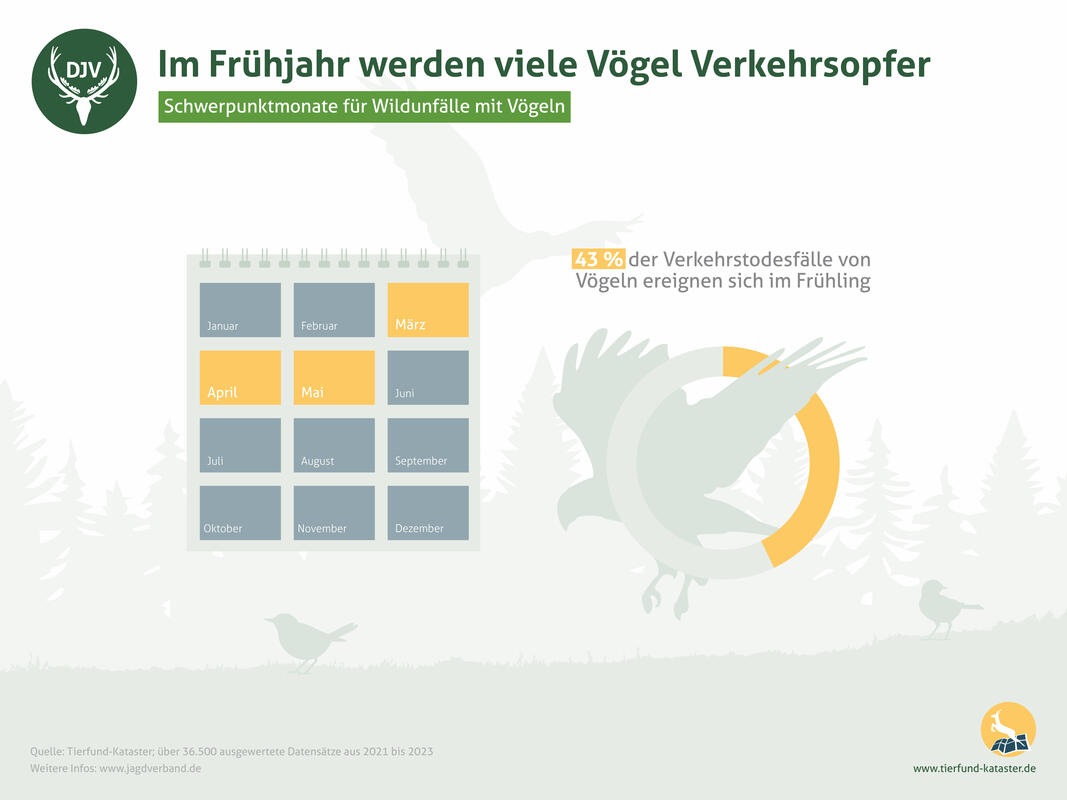 Schwerpunktmonate für Wildunfälle mit Vögeln. (Quelle: DJV)