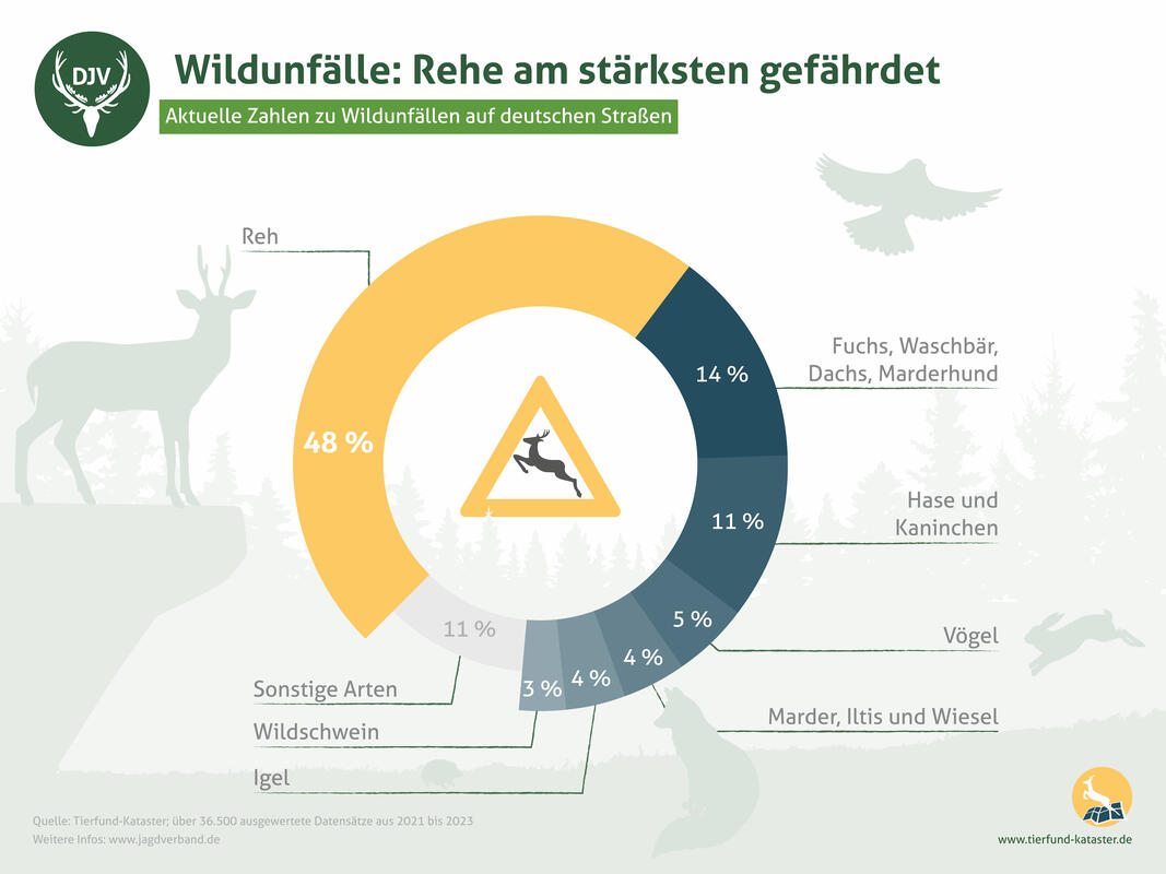 Wildunfälle: betroffene Tierarten. (Quelle: DJV)