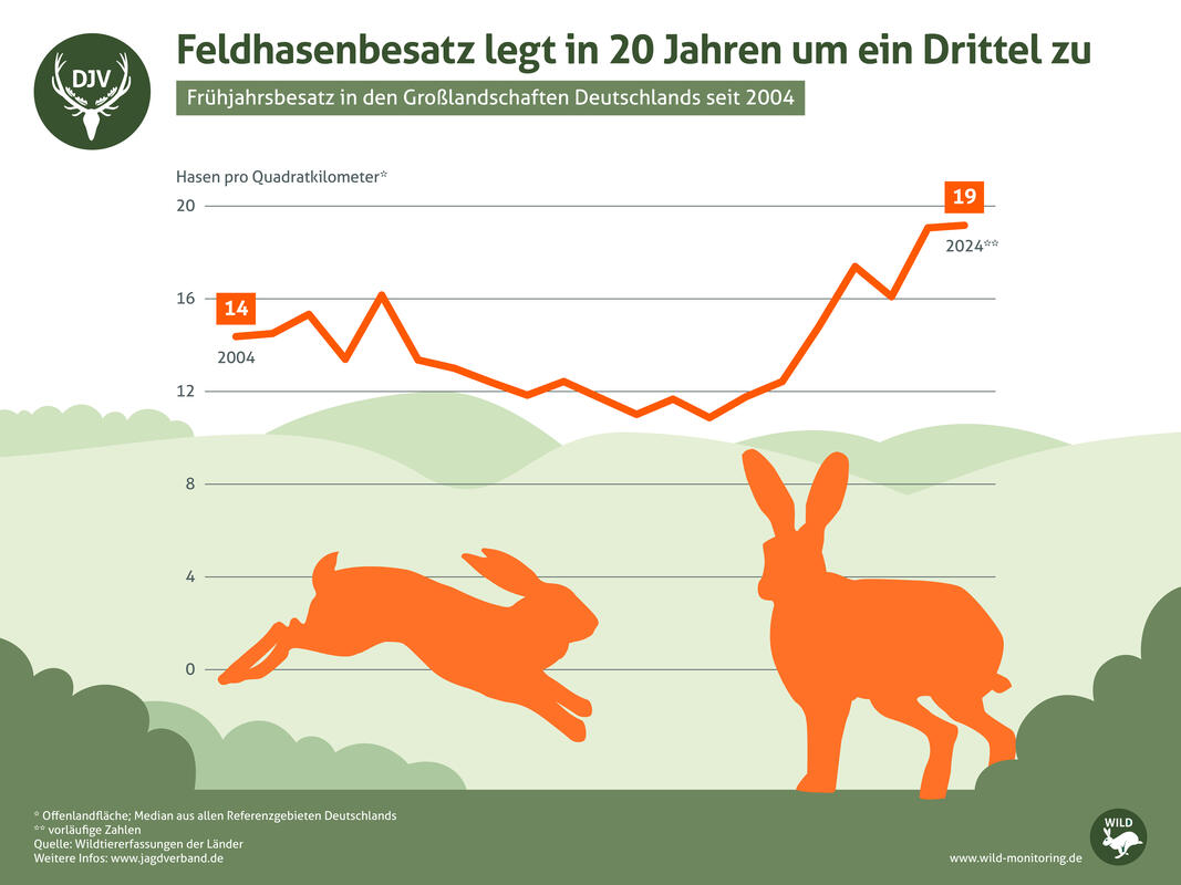 Feldhasenbesatz Deutschland 2003 - 2023. (Quelle: DJV)