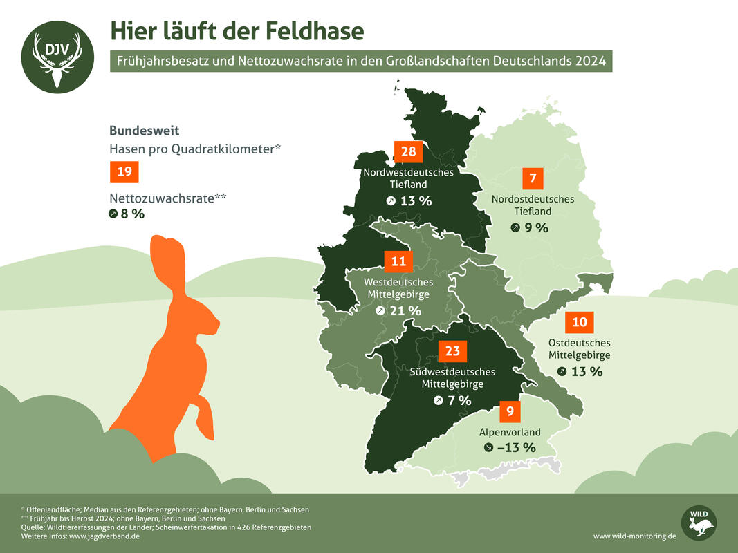 Feldhasenbesatz und Nettozuwachsrate Deutschland 2024. (Quelle: DJV)