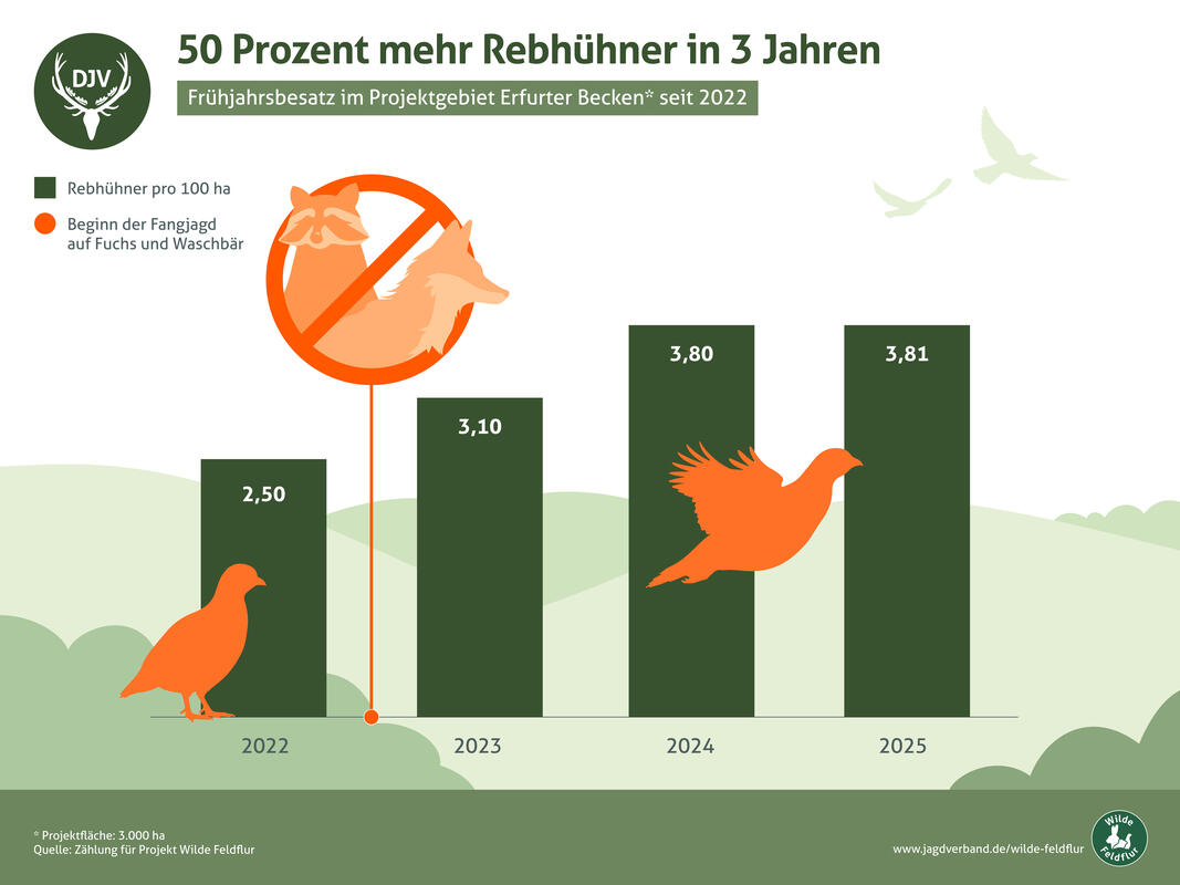 Wilde Feldflur: Rebhuhnbesatz im Projektgebiet Erfurter Becken 2022 - 2025. (Quelle: DJV)