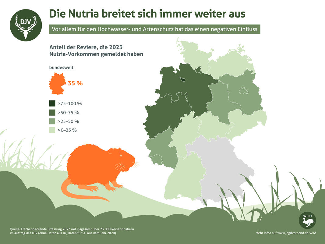 Nutria-Vorkommen in Deutschland 2023. (Quelle: DJV)