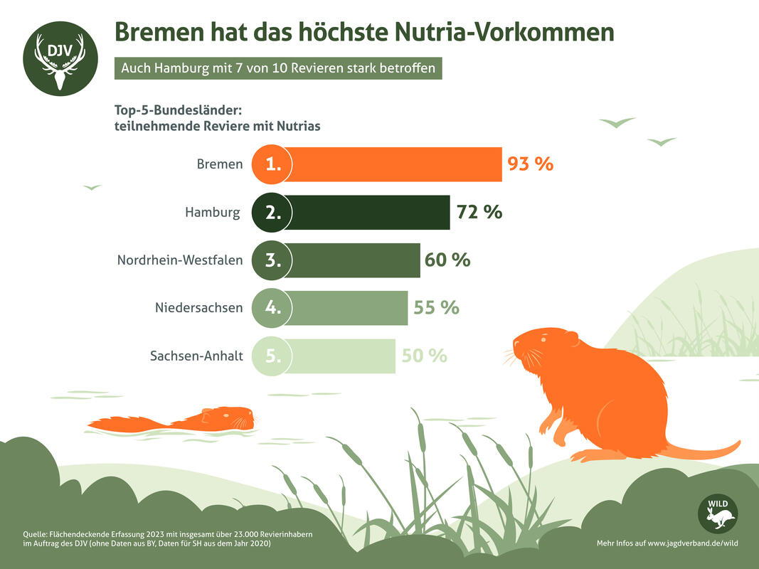 Top-5-Bundesländer mit Nutria-Vorkommen. (Quelle: DJV)