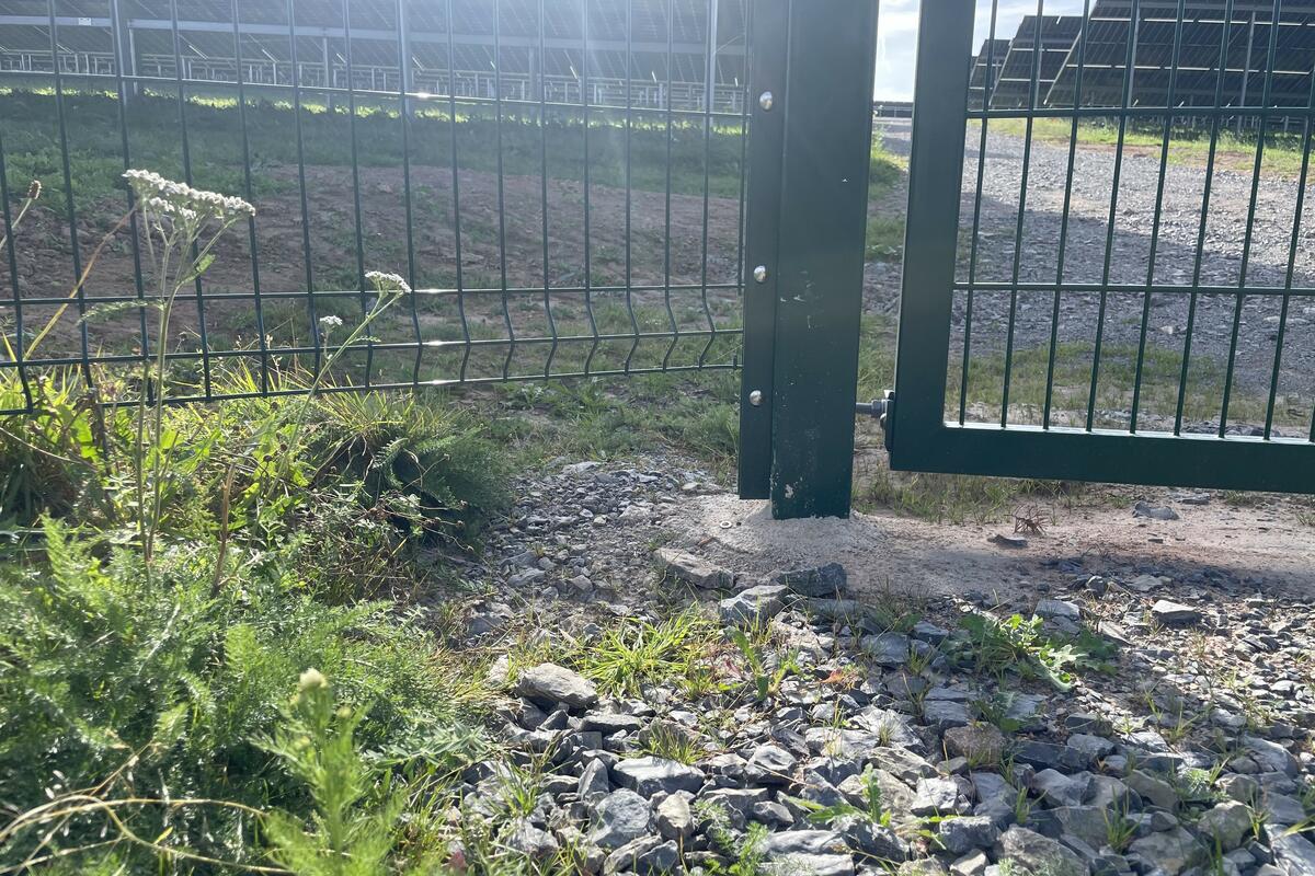 Bodenabstand des Zauns: Der gesamte Zaun wird mit einem Bodenabstand von 15 bis 20 Zentimeter ausgeführt. (Quelle: Wagner/DJV)